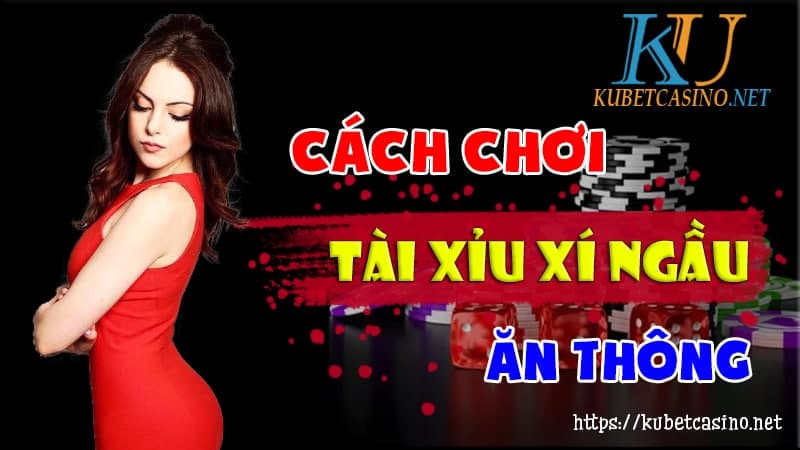 cach choi tai xiu xi ngau