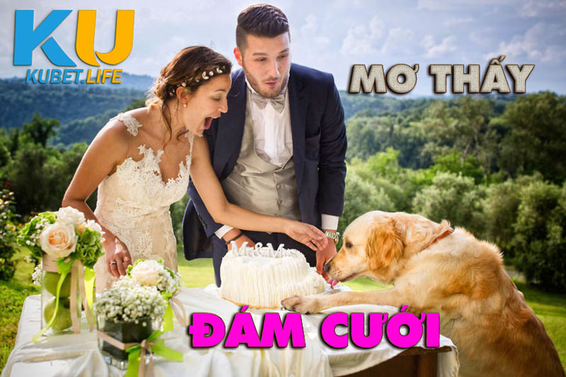 mo thay dam cuoi2