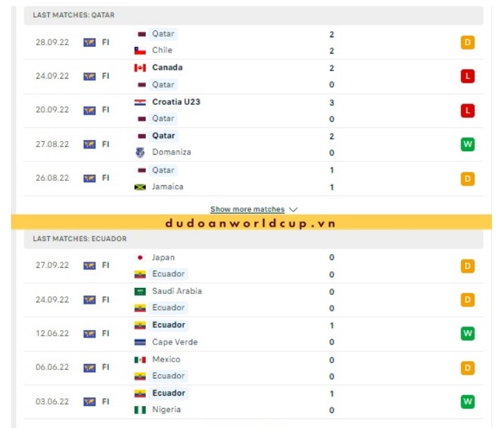 Qatar Vs Ecuador