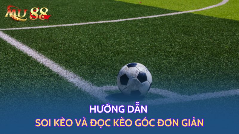 Hướng dẫn soi kèo và đọc kèo góc đơn giản